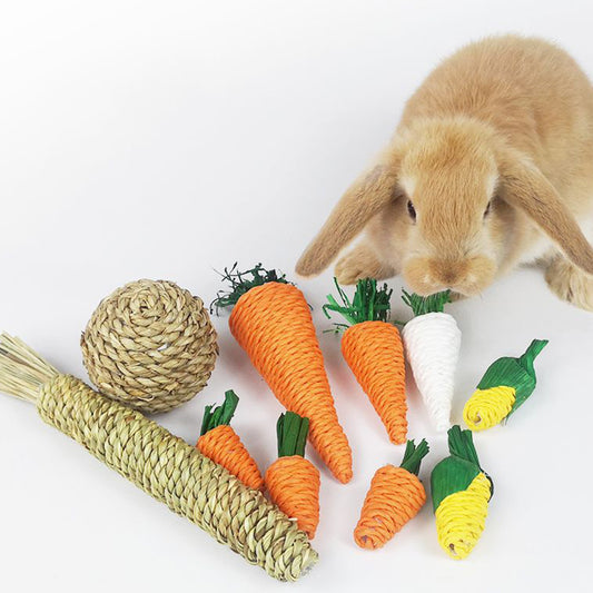 Hamster Rabbit Chew Toy Bite Grind Teeth Toys Corn Carrot Woven Balls
